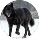 Luis M. profile picture